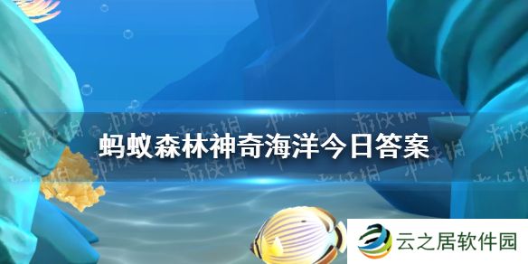 哪种海洋生物像海底绽放的烟花 神奇海洋12月28日答案最新